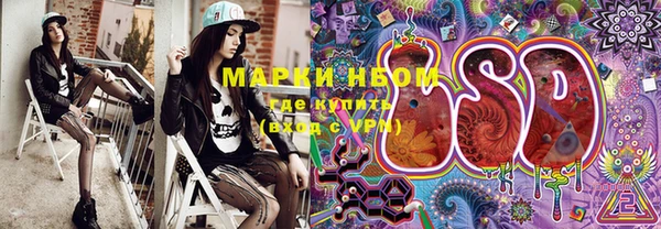 индика Баксан