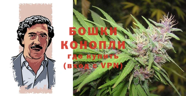 меф Белокуриха