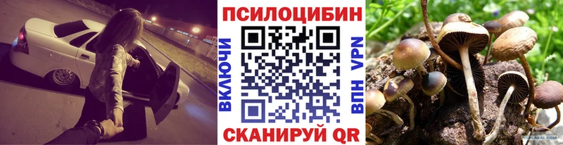 Псилоцибиновые грибы GOLDEN TEACHER  Жуков 