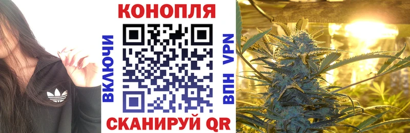 kraken сайт  Жуков  Шишки марихуана семена 